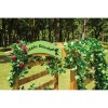 Little Garden Archway Planter