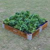 Little Garden Square Planter