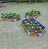 Little Garden Hexagonal Planting Set