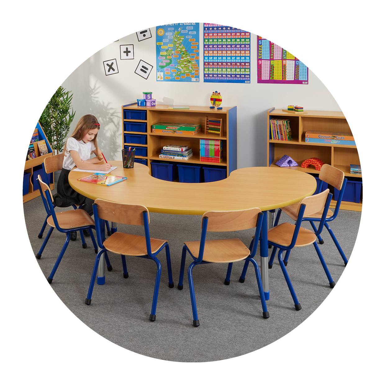 Wisdom | Profile Education
