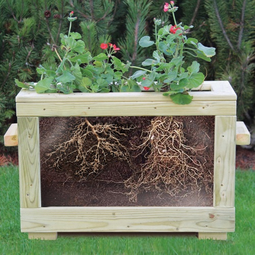 Watch Me Grow Planter