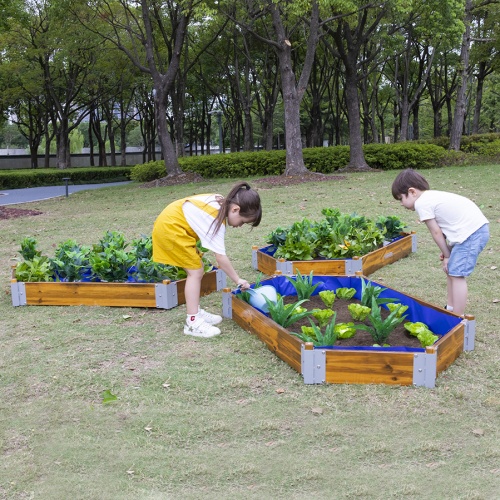 Little Garden Hexagonal Planting Set