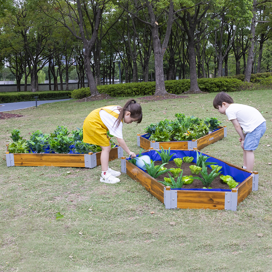 Little Garden Hexagonal Planting Set