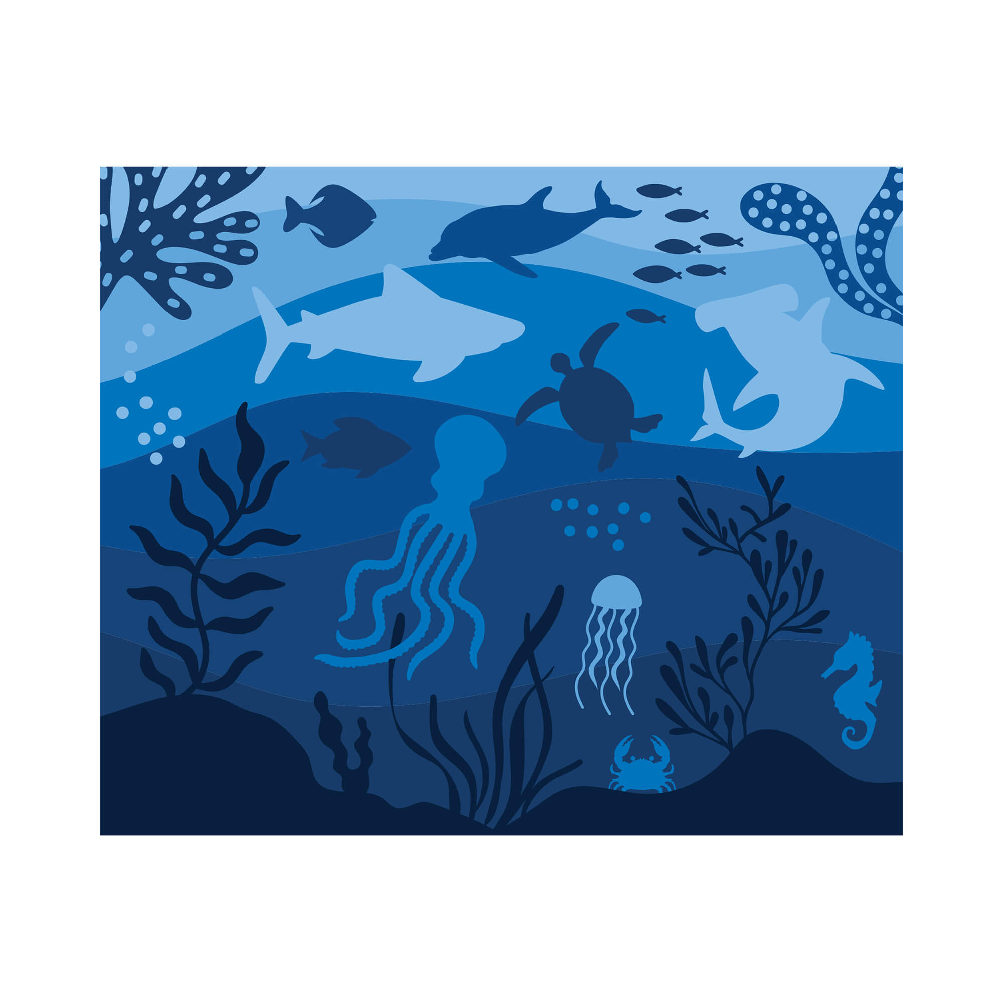 marine-rug-profile-education